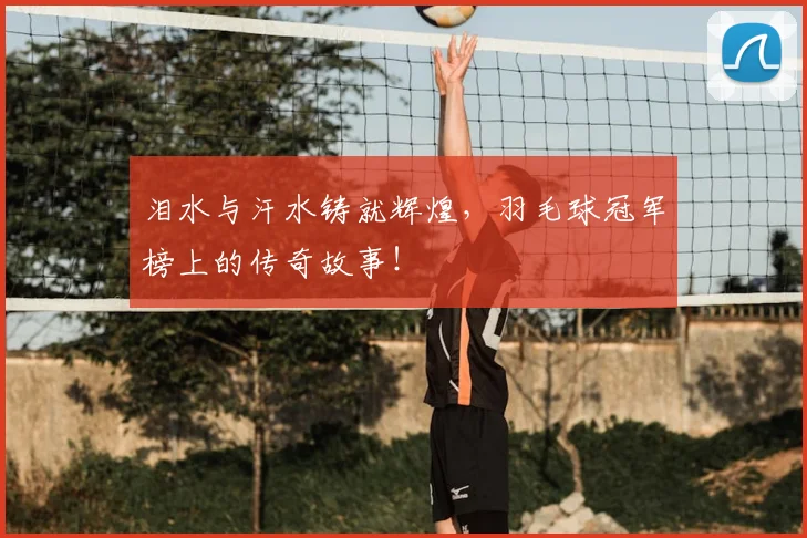 泪水与汗水铸就辉煌,羽毛球冠军榜上的传奇故事!